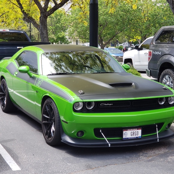 Meet your Posher, Lewis - Picture 1 of 1